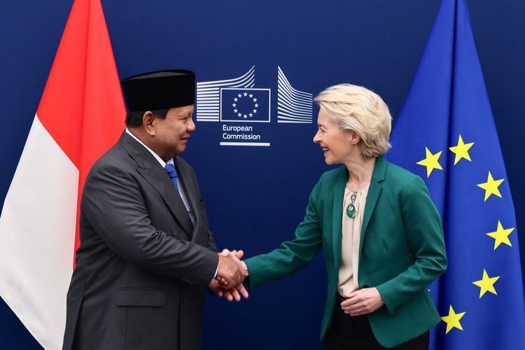 Uni Eropa Longgarkan Visa Schengen Multi Entry buat WNI, Anggota DPR: Langkah Maju